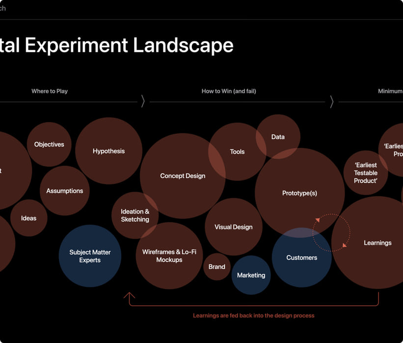 Digital experiment landscape diagram